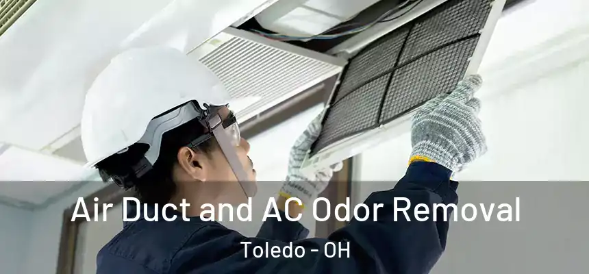 Air Duct and AC Odor Removal Toledo - OH