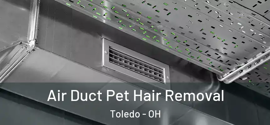  Air Duct Pet Hair Removal Toledo - OH