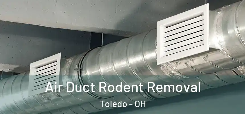  Air Duct Rodent Removal Toledo - OH