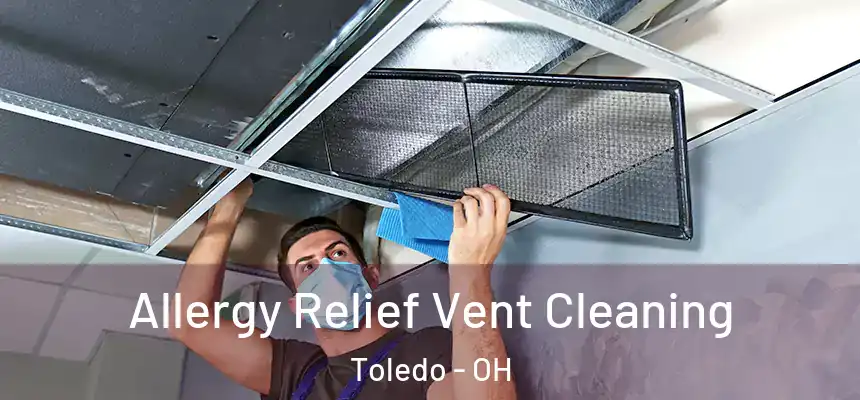 Allergy Relief Vent Cleaning Toledo - OH
