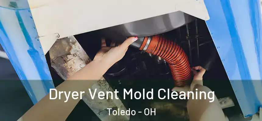  Dryer Vent Mold Cleaning Toledo - OH