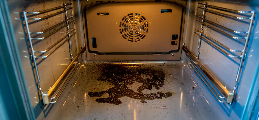 Our Dryer Vent Mold Cleaning Services in Toledo, OH