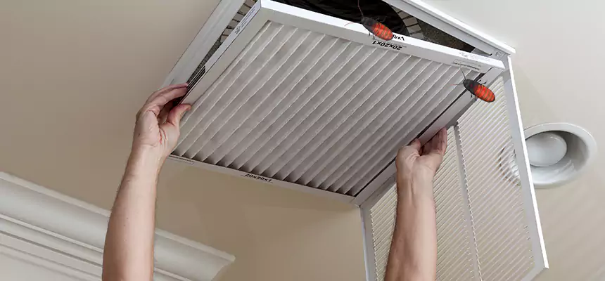Our Insect Removal from Air Ducts Services in Toledo, OH