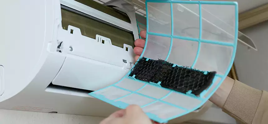 Gentle Ductwork Odor-Control Pet Dander Duct Cleaning in Toledo, OH