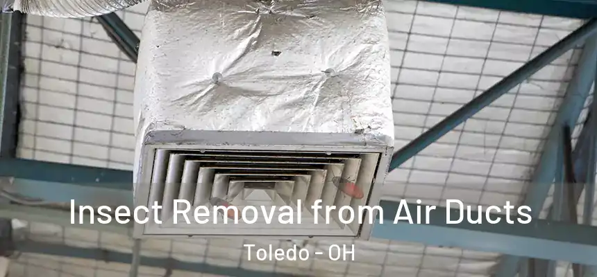 Insect Removal from Air Ducts Toledo - OH