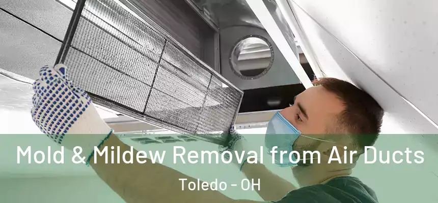 Mold & Mildew Removal from Air Ducts Toledo - OH