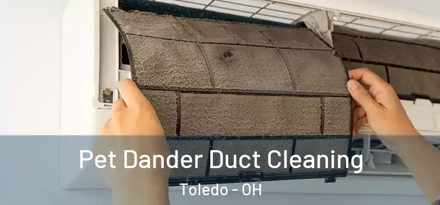  Pet Dander Duct Cleaning Toledo - OH