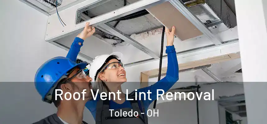 Roof Vent Lint Removal Toledo - OH