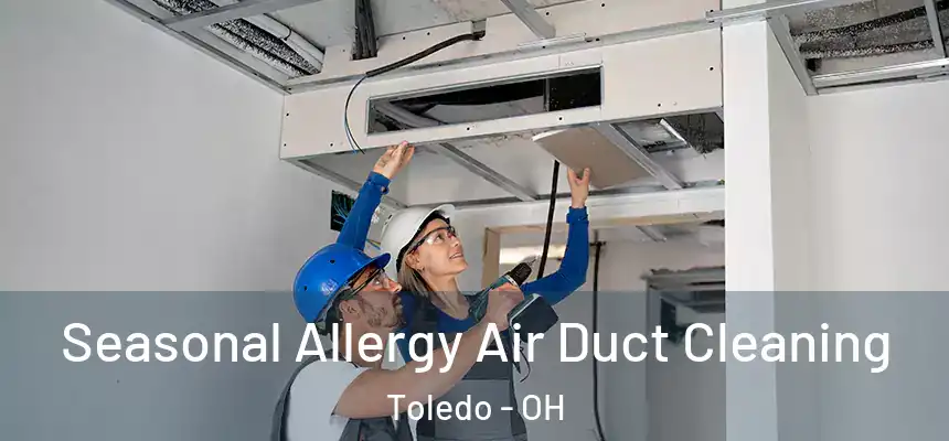 Seasonal Allergy Air Duct Cleaning Toledo - OH
