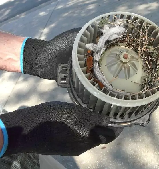 About Air Duct Rat Removal in Toledo, OH