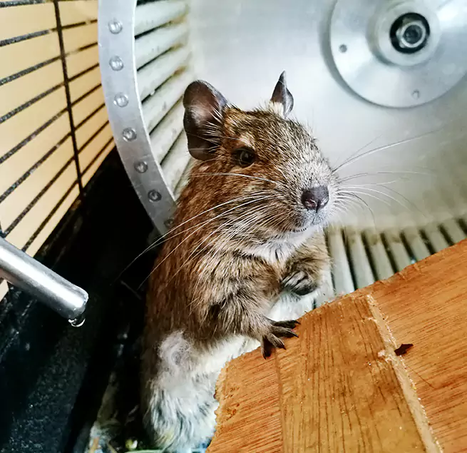 Why Homeowners & Businesses Trust Us Toledo, OH