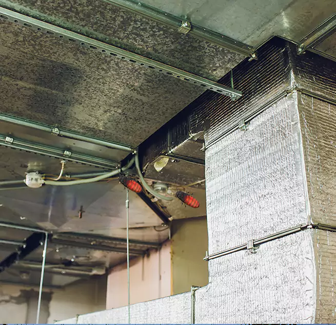 Why Homeowners & Businesses Trust Us Toledo, OH?