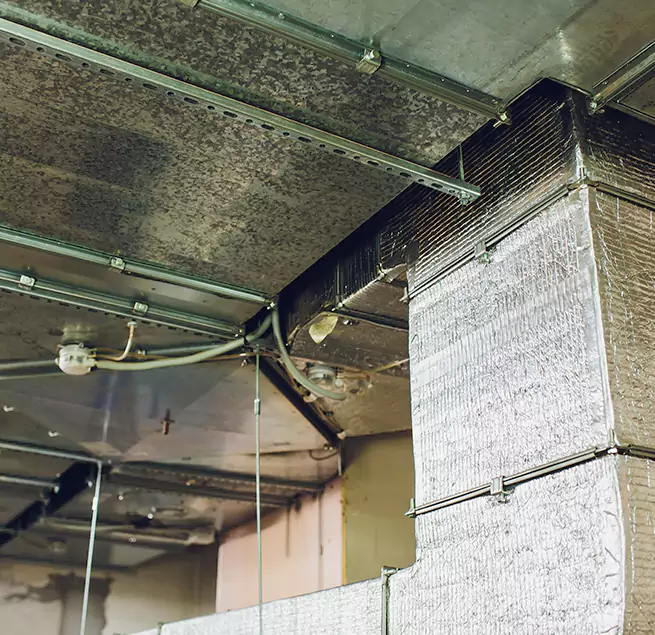 Why Homeowners & Businesses Trust Us in Toledo, OH?